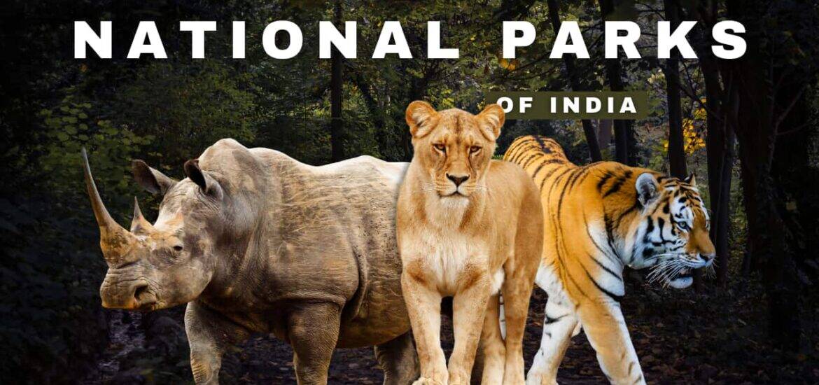 National Parks in India by World fo Wild (WOW)