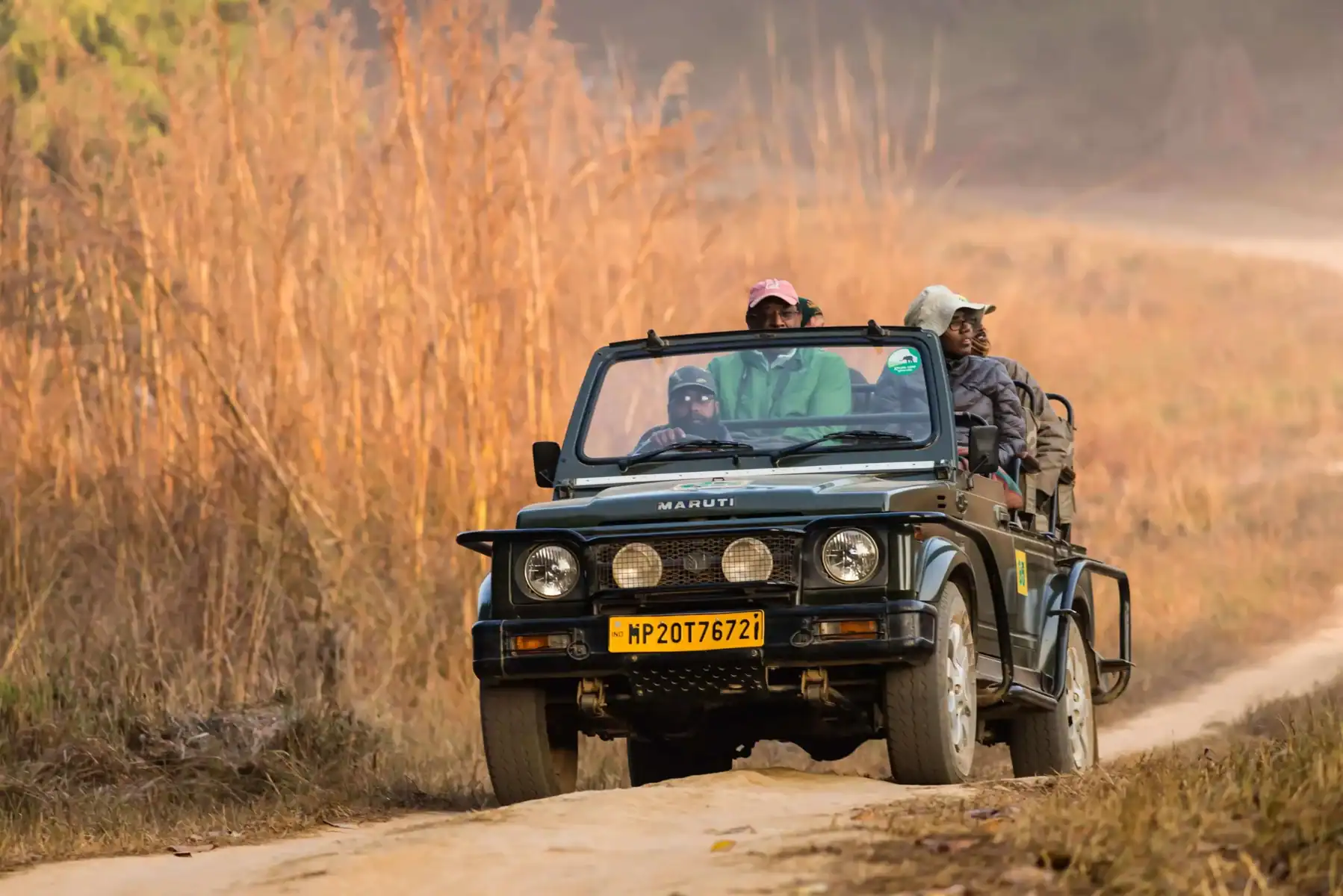 Tiger Safari in India by World of Wild