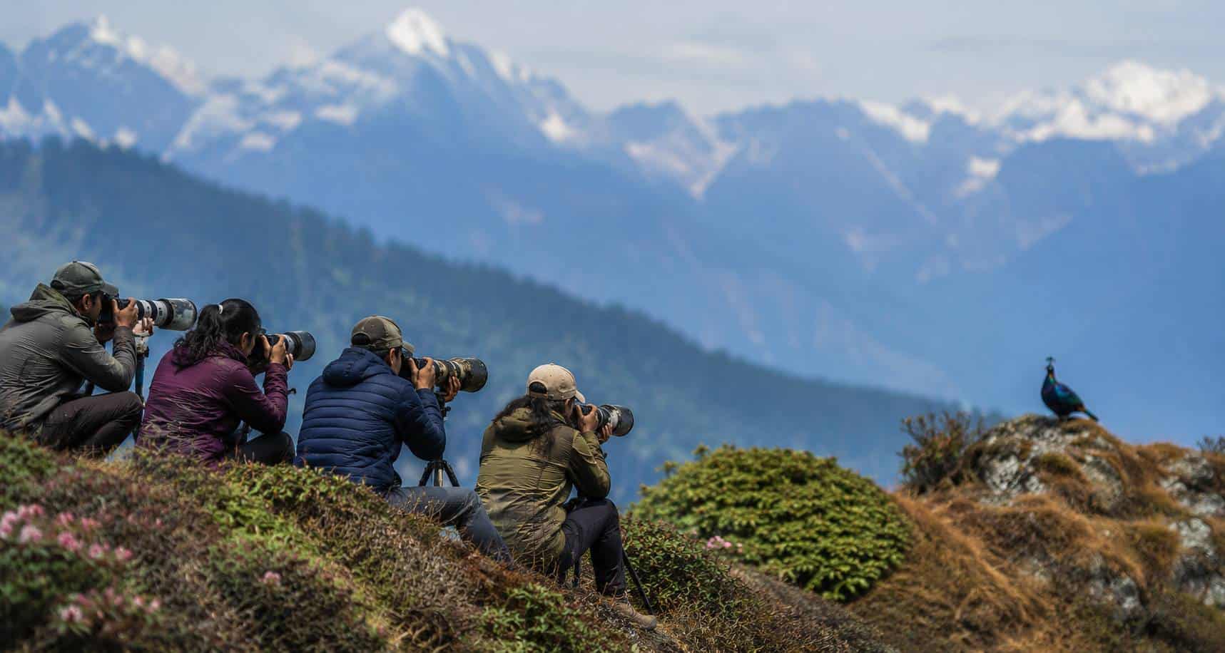 Environmental Shot for Birding in India