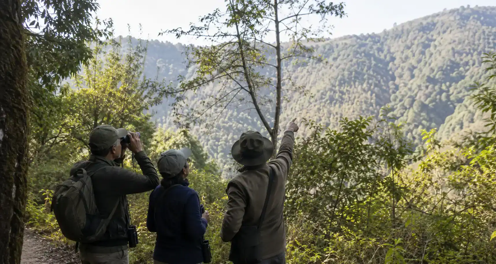 Expert birding guide leading international birders during a Himalayan birding tour in India.
