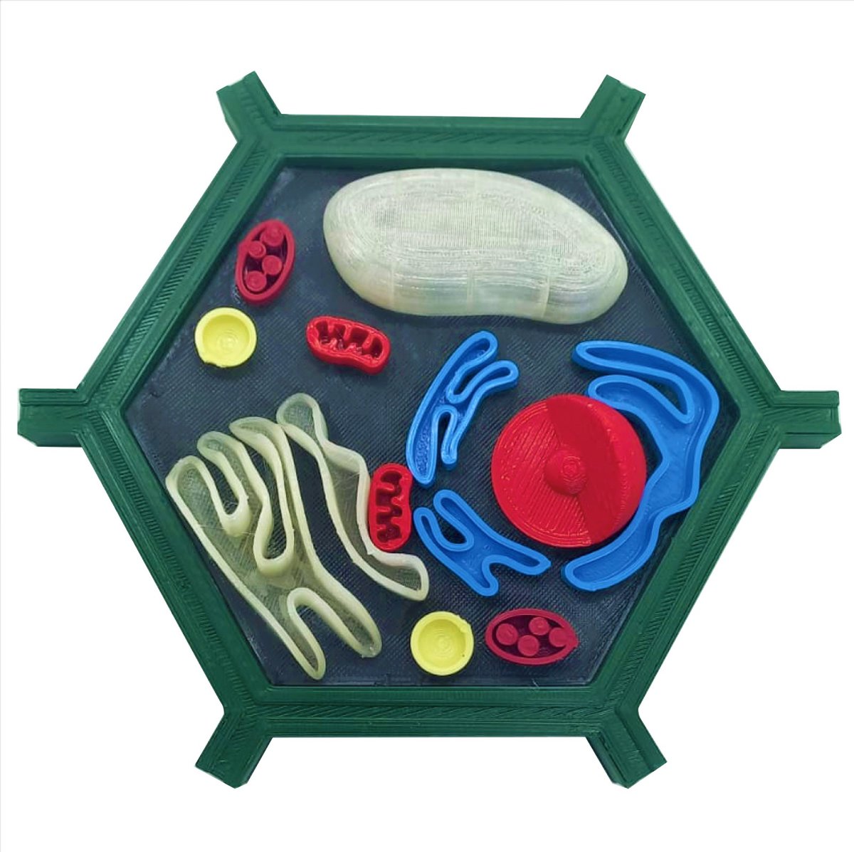Hexágono de plastilina con piezas de formas y colores variados para modelar y creación artística. Productos de calidad en plásticos, ideales para educación y actividades creativas.