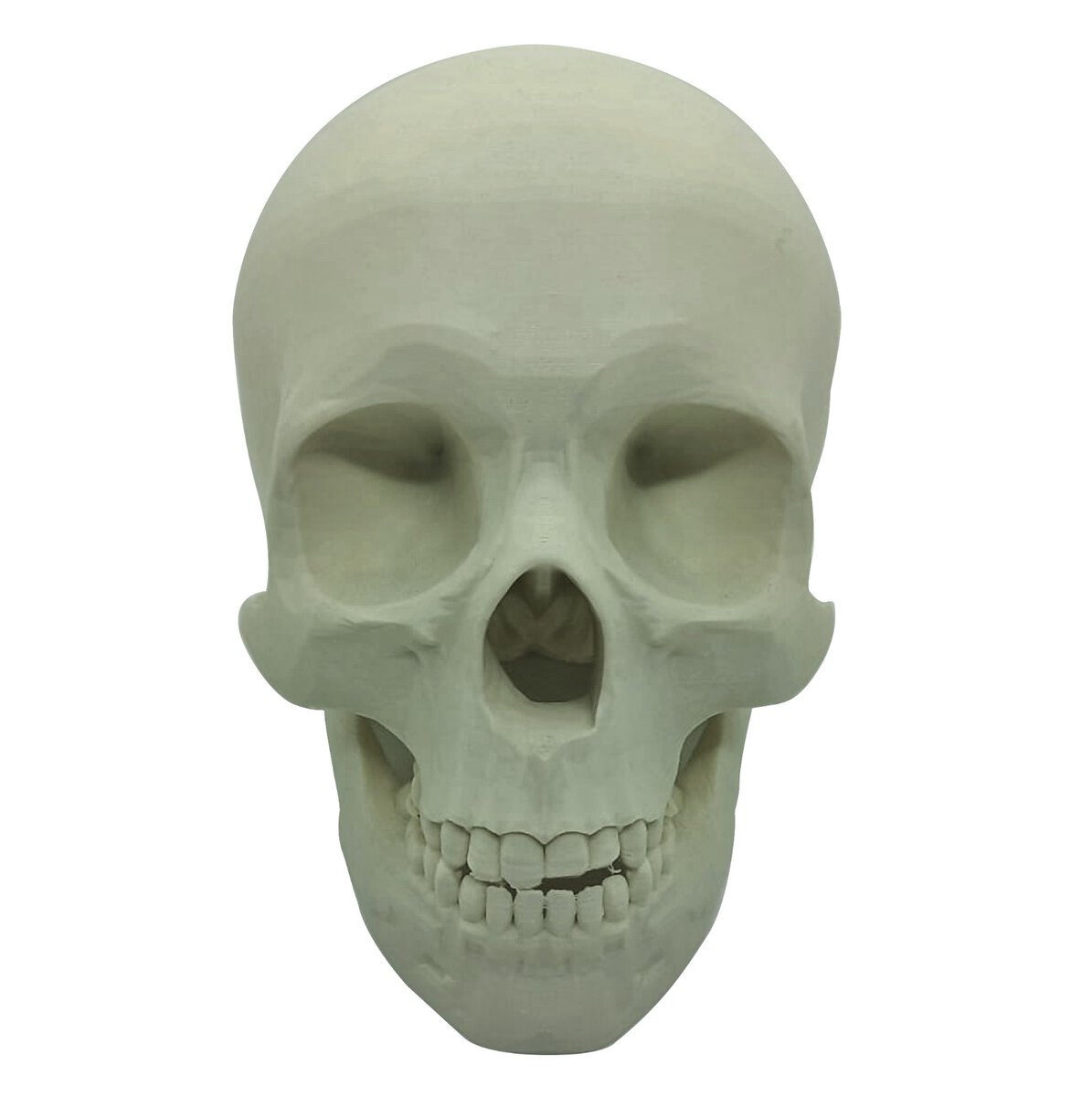 Esqueleto de plástico en color blanco para decoración o Halloween, fabricado por 3D Casa Bureu Plásticos con impresión 3D de alta calidad. Perfecto para ambientar eventos temáticos o como elemento decorativo resistente.