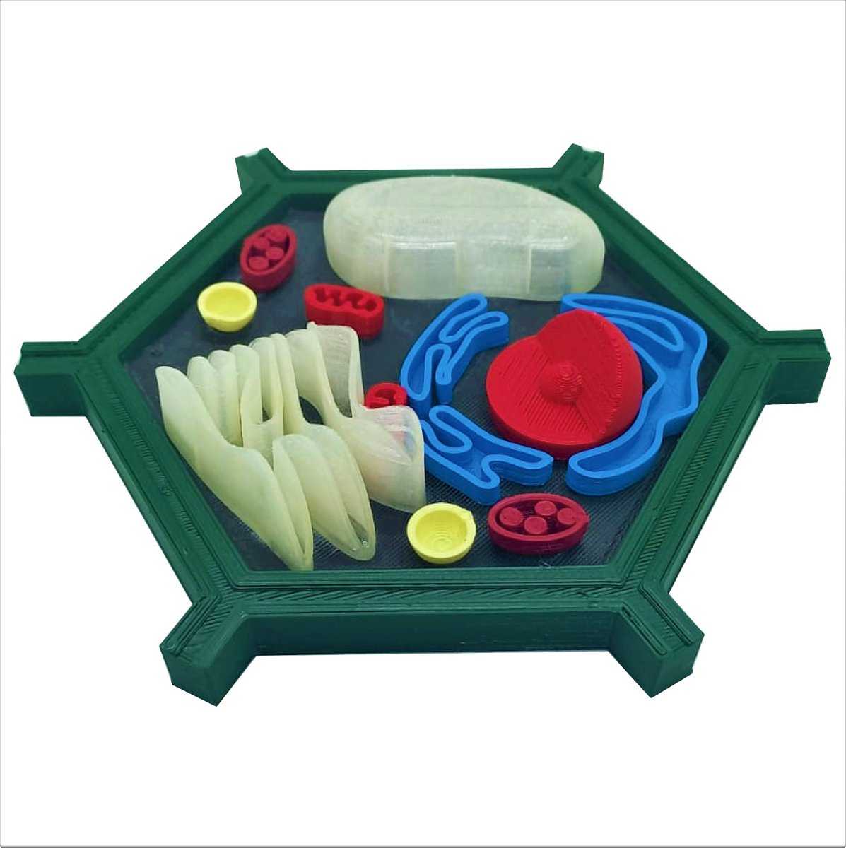 Juguete de plastilina 3D Casa Bureu con piezas moldeadas en colores variados para crear formas y figuras en 3D. Ideal para estimular la creatividad infantil y el aprendizaje mediante el juego con plástico de alta calidad.