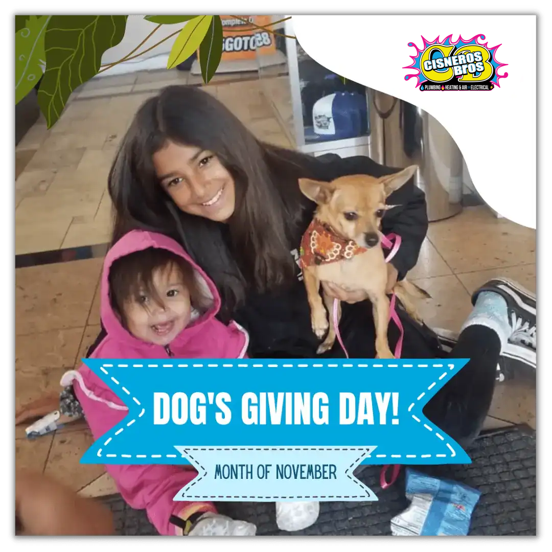 Dog's-Giving-Day