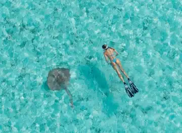Water Sports