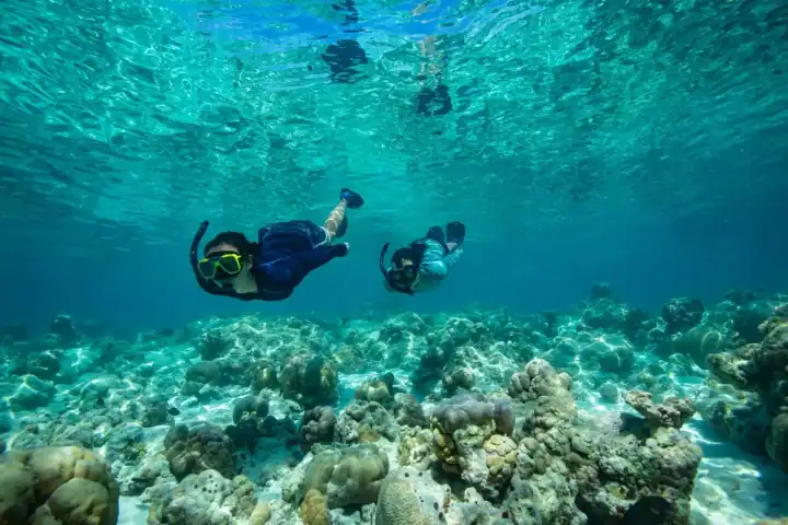 Explore the House Reef