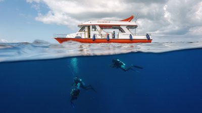 Diving