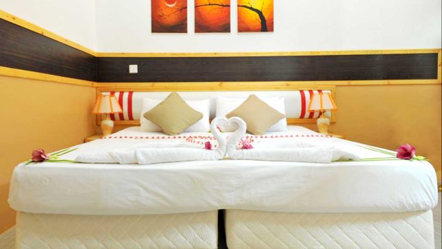 Deluxe Double / Deluxe Triple Room