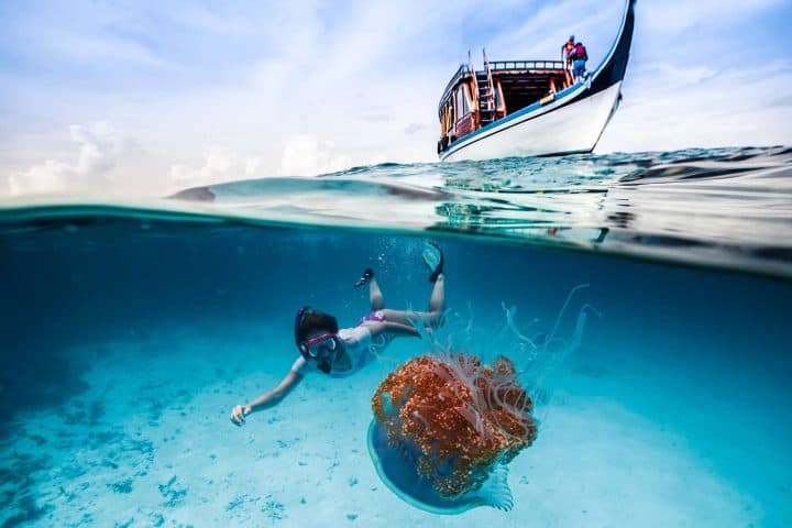 Diving & Snorkeling