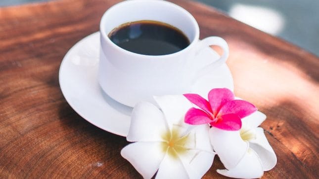 Frangipani Fulhadhoo