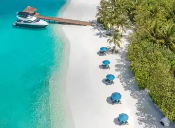 The Island
