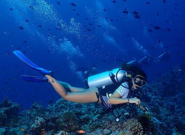 Scuba Diving Courses