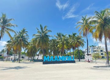 The Beach