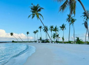The Beach