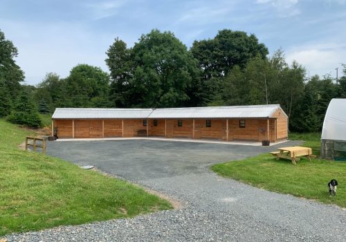 Eco-friendly architecture showcasing sustainable timber construction and natural surroundings.