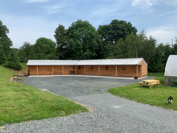 Eco-friendly architecture showcasing sustainable timber construction and natural surroundings.