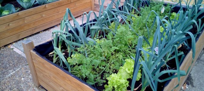 ¿Quién debe conservar la terraza, el propietario o la comunidad? ¿Quién debe conservar la terraza, el propietario o la comunidad?