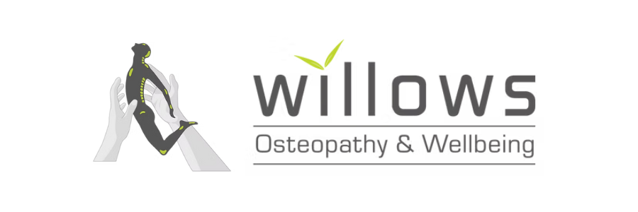 Active Family Chiropractic