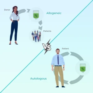 What Is The Difference Between Allogeneic Transplants And Autologous Transplants