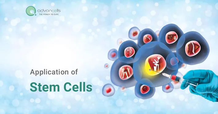 therapeutic applications of stem cells