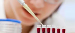 Stem cell transplants get safer thanks to gut bacteria