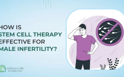 How Is Stem Cell Therapy Effective for Male Infertility?