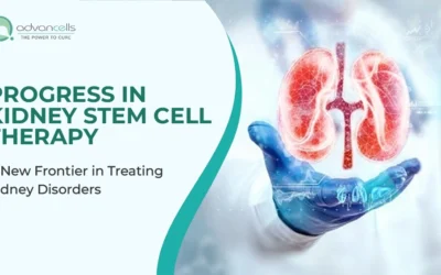 Progress in Kidney Stem Cell Therapy: A New Frontier in Treating Kidney Disorders
