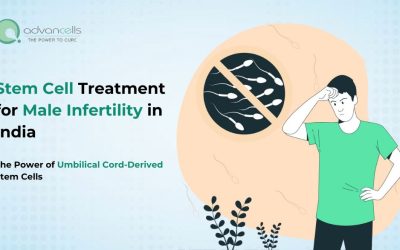 Stem Cell Treatment for Male Infertility in India: The Power of Umbilical Cord-Derived Stem Cells