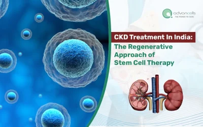 CKD Treatment In India: The Regenerative Approach of Stem Cell Therapy