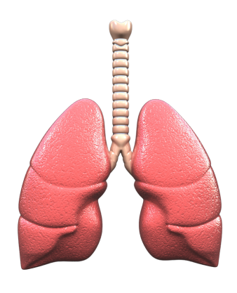 Lungs-Disorder