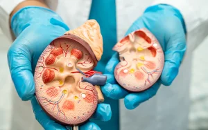 Stem-Cell-Treatment-for Chronic-Kidney-Disease