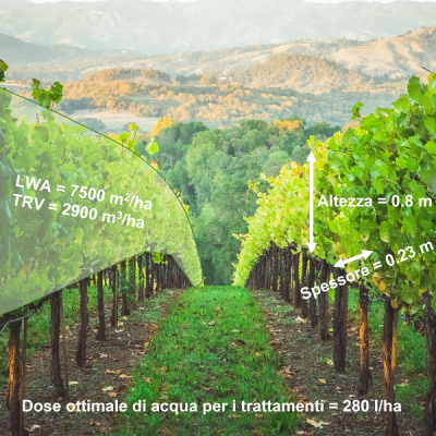 leaf wall area LWA vigneto