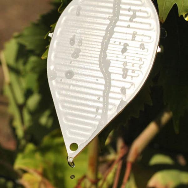 sensors for precision and digital agriculture