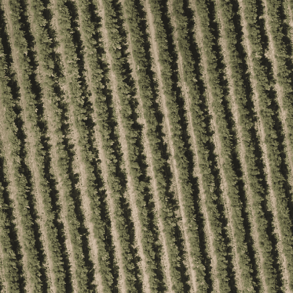 fotogrametria aérea agricultura