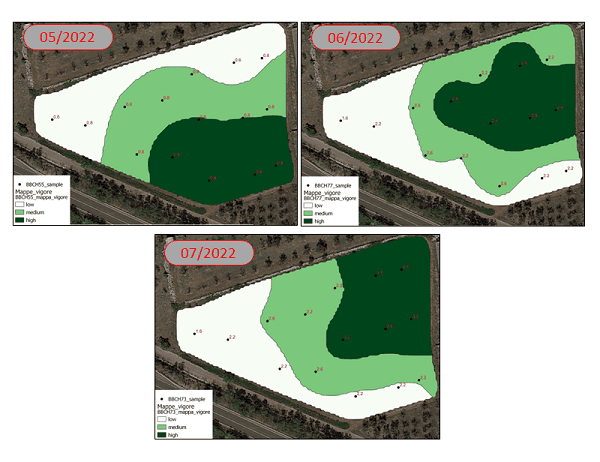 iagro mappe di vigore