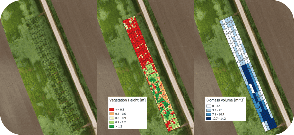 analisi allettamento colture cerealicole da drone