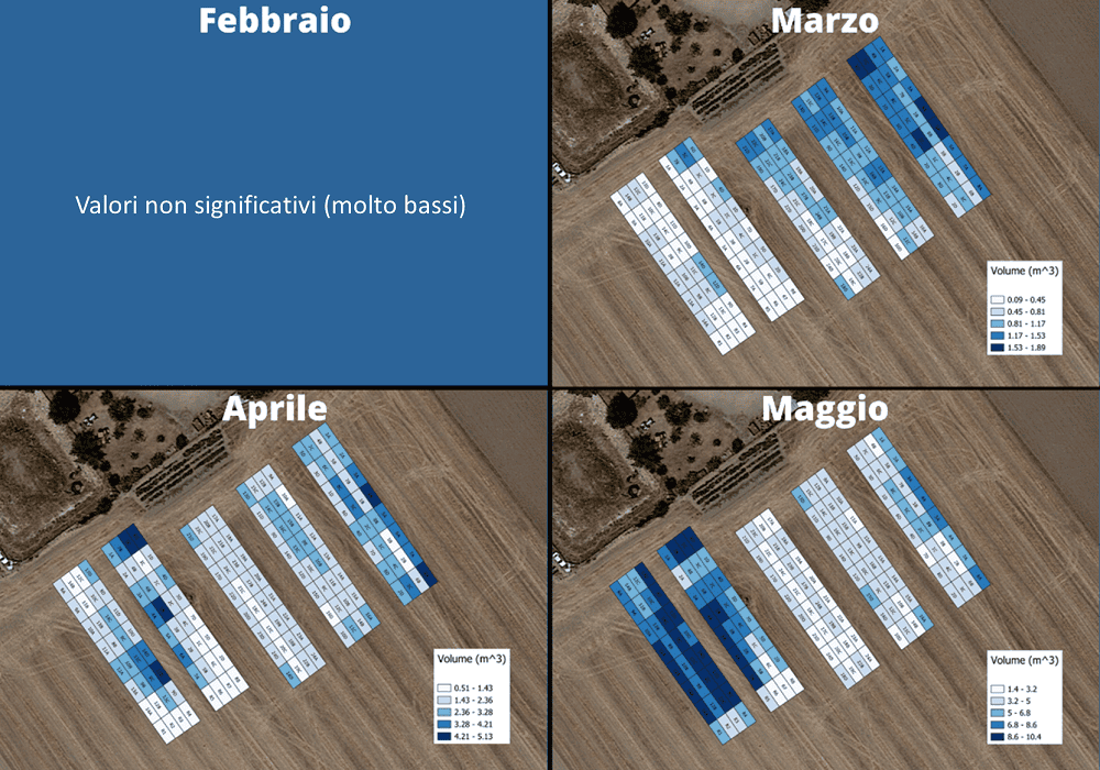 trial plot volume biomassa