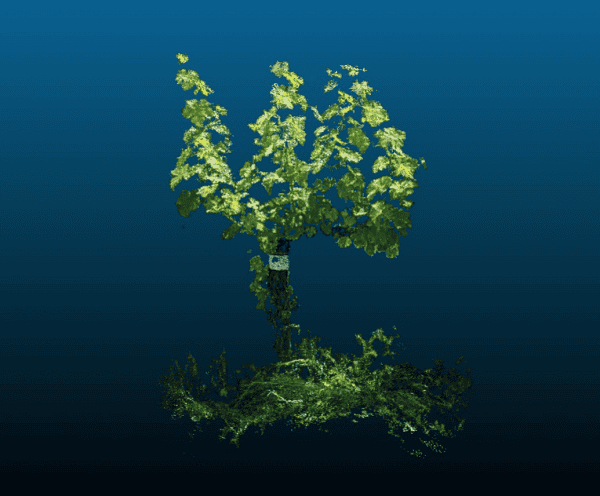 digital-twin-vite