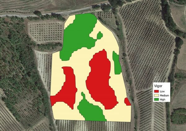 zonazione del vigore vegetativo