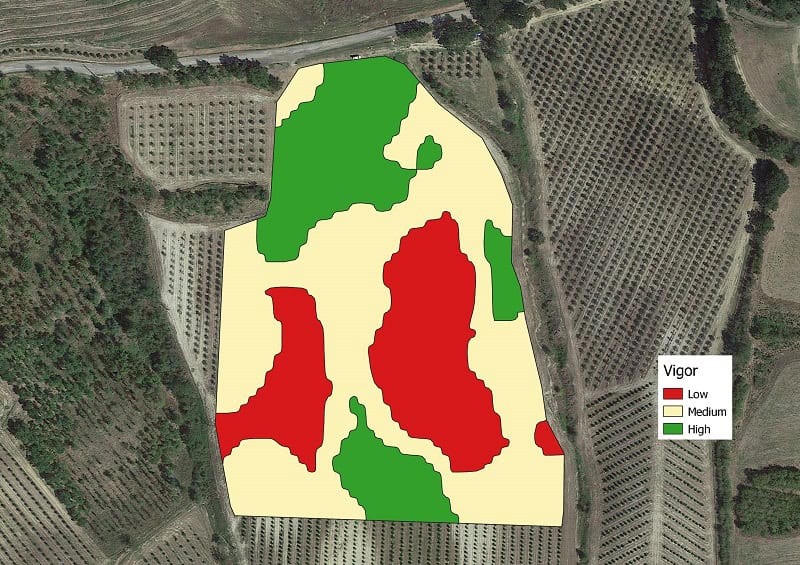 zonificación del vigor vegetativo