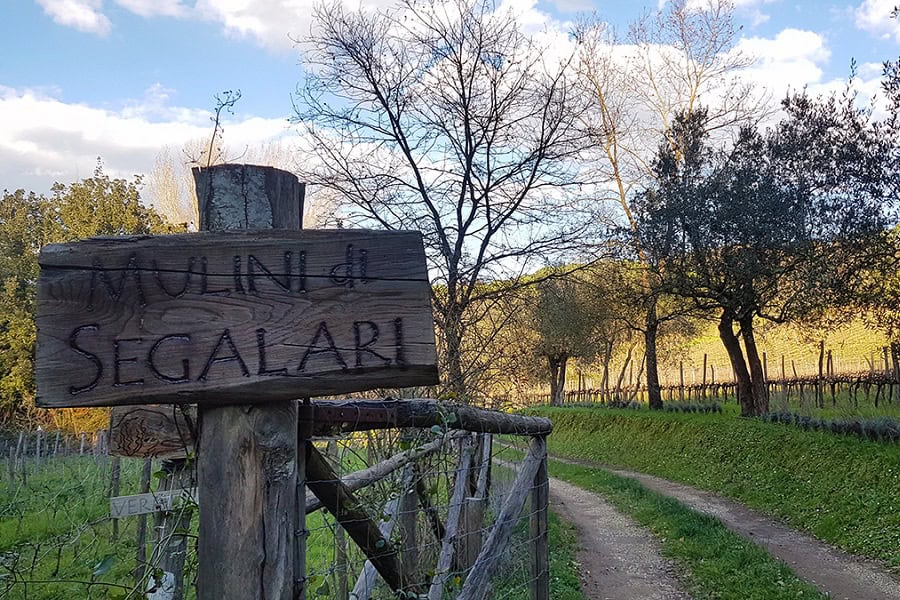 mulini segalari bolgheri