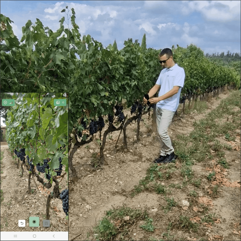 app-for-agriculture-precision