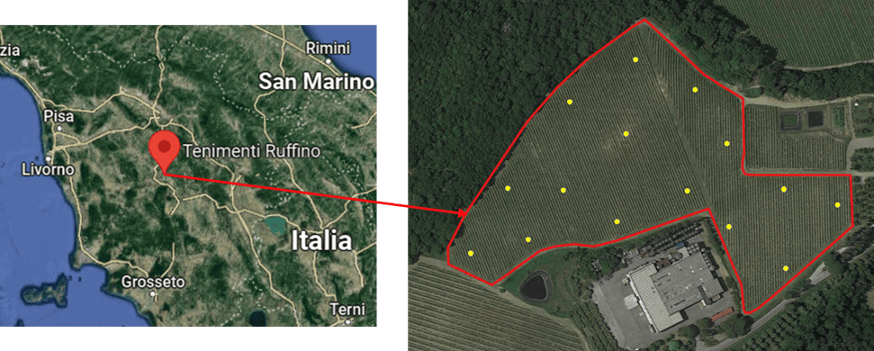 rilievo app iAgro vigneto