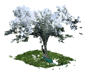 digital-twin-olivo