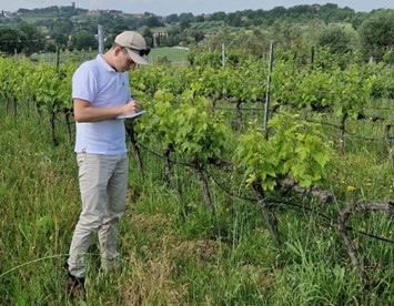 rilievo-vigneto-agricoltura-di-precisione