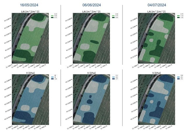mappe-di-vigore-prescrizione-vigneto