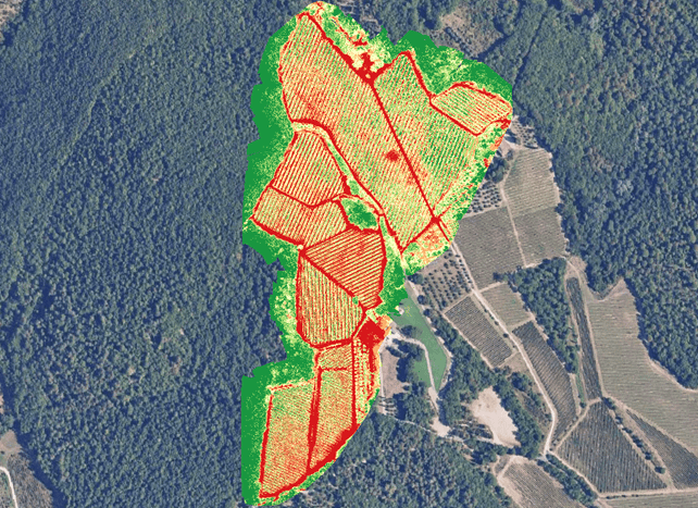 mappa-vigore-vigneto-drone