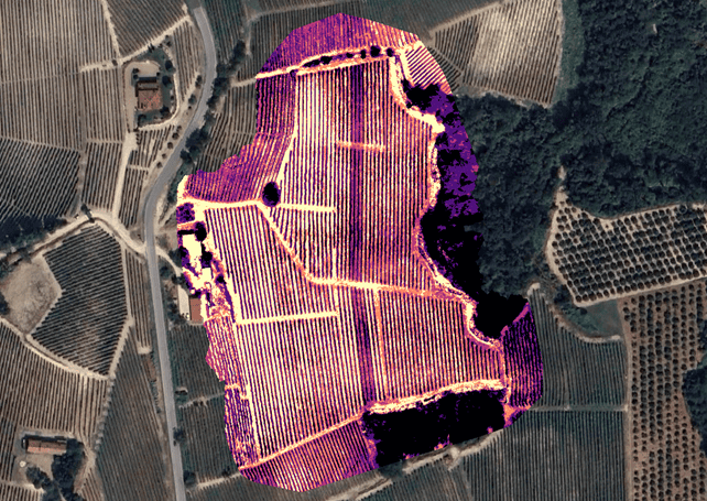 mappa-termica-vigneto-drone