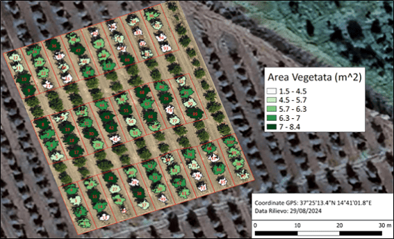 mappa-area-chioma-pianta-agrumeto-visione-artificiale-drone