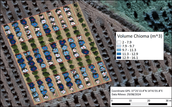 mappa-volume-chioma-agrumeto-biomassa-drone-multispettrale